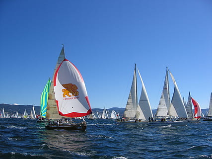 barcolana, vėjas, burės, jūros, valtis, laivas, burlaivis, mėlyna, buriavimas, dieną, švarus dangus, dangus, lauke, jachta, transportavimas, vanduo, transporto būdas, pobūdį, kelionė, Sportas, judėjimas, žmonių grupė, vasara, kelionės tikslai, prabanga, 2K, CC0, Viešasis domenas, nemokamai