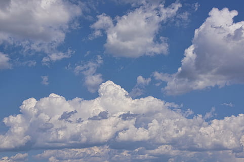 chmury, niebo, niebieski, forma chmur, chmura - niebo, piękno natury, scenics - natura, spokój, niski kąt widzenia, spokojna scena, żadnych ludzi, Natura, tła, cloudscape, dzień, na dworze, idylliczny, biały kolor, pełna ramka, meteorologia, delikatny, 2K, CC0, domena publiczna, darmowe zdjęcia