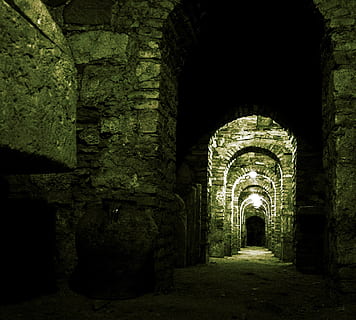 crypte, grabstaette, monastère, cathédrale, la tombe, cimetière, la grotte, mort, tunnel, architecture, foncé, vieux, cambre, ancien, effrayant, l'histoire, matériau de pierre, structure construite, la voie à suivre, direction, le passé, bâtiment, personne, la nature, colonne architecturale, journée, à l'intérieur, perspective décroissante, arcade, Destinations de voyage, arbre, la civilisation ancienne, mur de pierre, arqué, colonnade, 1080P, CC0, domaine public, libre de droits