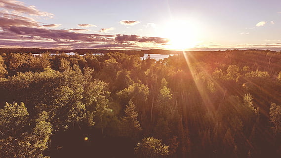 verde, albero delle foglie, sole sorgere sfondo, foglia verde, albero, Alba, sfondo, natura, paesaggio, Paesaggi, tramonto, all'aperto, luce del sole, cielo, sole, bellezza nella natura, alba - alba, nessuno, scena rurale, nuvola - cielo, riflesso lente, orizzonte sopra terra, campo, crescita, la tranquillità, ambiente, scenics - natura, pianta, raggio di sole, scena tranquilla, terra, foresta, bosco, luminosa, 4K, CC0, dominio pubblico, privo di copyright