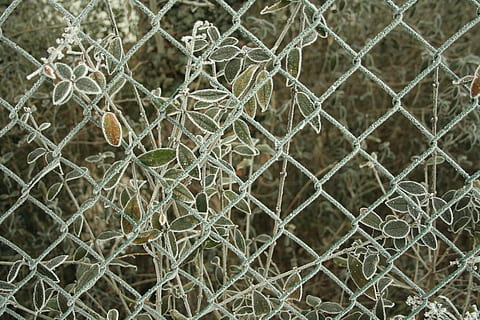 tanca, patró, fons, ferro, barrera, xarxa, marc complet, cap gent, primer pla, seguretat, centrar-se en primer pla, tanca d'enllaç de cadena, protecció, hivern, metall, dia, temperatura de fred, naturalesa, límit, enfocament selectiu, gelades, a l'aire lliure, gel, enredat, 2K, CC0, domini públic, lliure de regalies