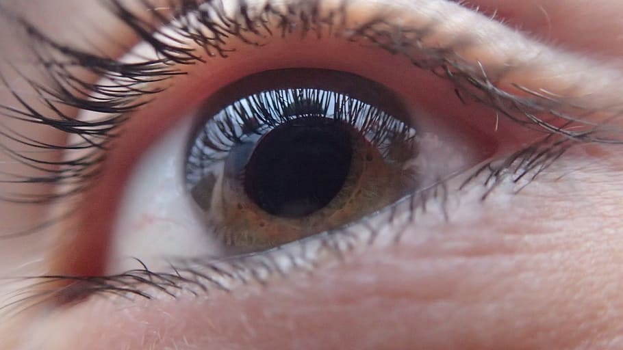 tancar, fotografia, humà, ull, cara, visió, mira, persona, globus ocular, iris, alumne, vista, veure, mirant, òptica, cella, pestanya, parpella, lent, còrnia, retina, optometria, oftalmòleg, òptic, oftalmologia, optometrista, examen, oftalmològic, visual, anatomia, ciència, diagrama, glaucoma, biologia, cataracta, sensorial, cec, percepció sensorial, ull humà, primer pla extrem, primer pla, part del cos humà, part del cos, macro, una persona, iris - ull, adult, dones, adult jove, marc complet, ulls color avellana, rostre humà, dona guapa, 1080P