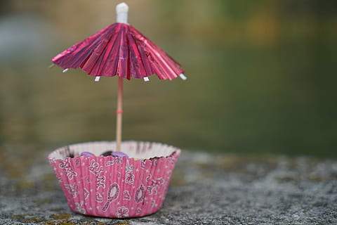 muffin, paraigua, centrar-se en primer pla, vermell, menjar i beguda, cap gent, primer pla, color rosa, dia, a l'aire lliure, naturalesa, humit, menjar, aigua, pluja, contenidor, frescor, arbre, planta, 5K, CC0, domini públic, lliure de regalies