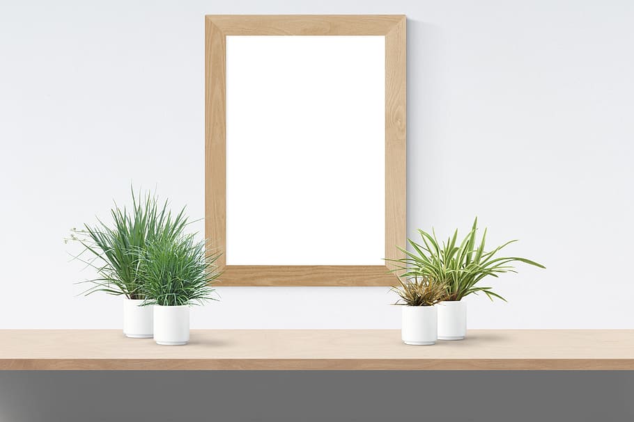 rectangular, marró, fusta, decoració de paret de marc, planta d'aranya, maqueta, paret, pòster, burla, marc, plantilla, interior, planta, a l'interior, planta en test, naturalesa, cap gent, creixement, còpia espai, arbre, color verd, Color blanc, funció de construcció de parets, interior de casa, material de fusta, planta d'interior, dia, arquitectura, finestra, decoració, habitació domèstica, en blanc, arbre de coníferes, 5K
