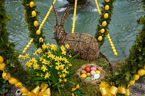gut ostern, Bieberbach, Ostereier, Brauch, Brunnen Schmuck, Ostern, Osterhase, Religion, Osterei, Dekoration, Ostertradition, Osterthema, Tradition, Frohe Ostern, Ostergruß, fränkische schweiz, Egloffstein, Guinness-Buch, Guinness-Buch der Rekorde, bunte Eier, Hase, Zoll, Deko, bemaltes Ei, Frühling, Osterdekorationen, Ostergrüße, bunt, Ei, Osterfeier, Spaß, Osterdekoration, Grußkarte, osterkorb, basteln, Wasser, Pflanze, Natur, keine Leute, High Angle View, Tag, See, Lebensmittel, blühende Pflanze, Blume, Essen und Trinken, Gelb, Frische, draußen, Blatt, 5K, CC0, gemeinfrei, lizenzfrei