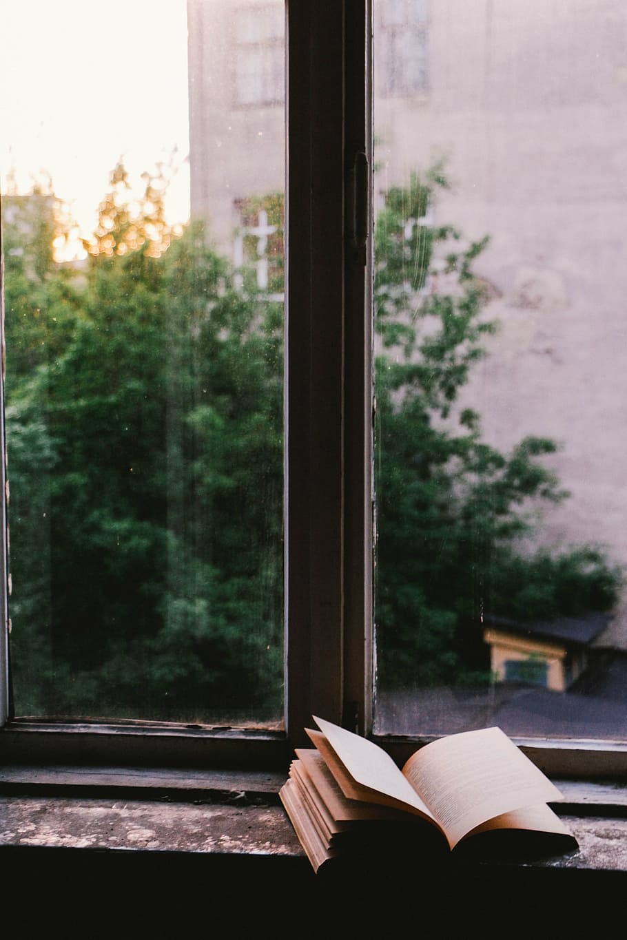 obert, llibre, al costat, finestra, vidre, escut, llegir, literatura, lectura, educació, a l'interior, arbre, planta, publicació, transparent, vidre - material, naturalesa, centrar-se en primer pla, dia, cap gent, saviesa, material de fusta, primer pla, color verd, 4K