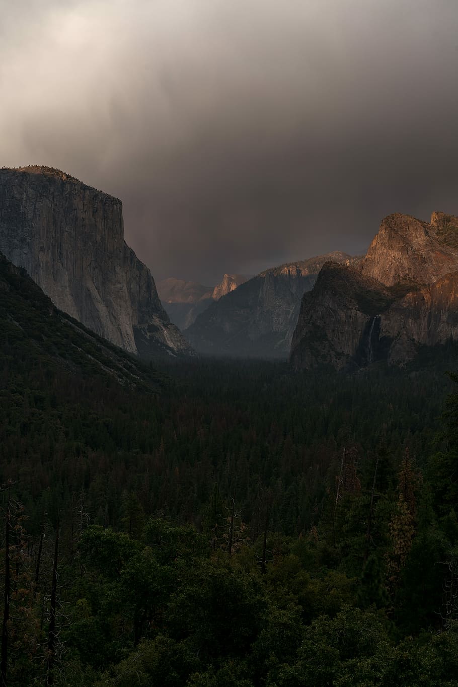 pijnboom berg, Yosemite Nationaal Park, berg-, Bos, rots, boom, buitenshuis, geweldige openlucht, wild, natuur, uitzicht, Nationaal Park, el cap, halve koepel, brand, rook, hout, schoonheid in de natuur, scenics - natuur, rustige scène, niet-stedelijke scène, kalmte, milieu, hemel, landschap, geen mensen, idyllisch, land-, fabriek, wolk - lucht, afgelegen, bergketen, vorming, uitgehold, 8K