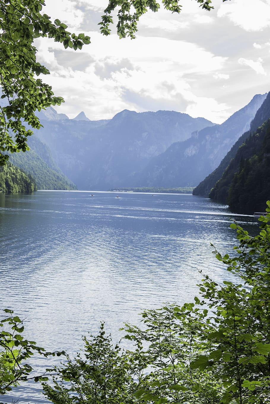 punt de vista, reflexió, europa, estiu, nacional, watzmann, colorit, arbre, a la pàgina, alpí, parc, muntanya, temps, famós, aventura, viatge en vaixell, fulles, blau, verd, Austràlia, frisch, fons, idíl·lic, bosc, panorama, rock, aigua, escenics - natura, planta, bellesa a la natura, llac, tranquil·litat, cel, escena tranquil·la, naturalesa, cap gent, núvol - cel, escena no urbana, dia, Serra, davant del mar, a l'aire lliure, 5K