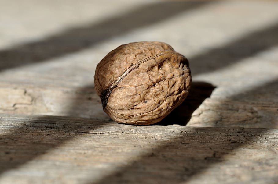 pecanødder, valnød, nød, frugtskål, sund og rask, lækker, naturligt produkt, trægulv, lys og skygge, mad og drikke, tæt på, træ - materiale, sund kost, ingen mennesker, mad, skygge, Brun, tekstureret, nøddeskal, velvære, møtrik - mad, friskhed, bord, stilleben, indendørs, selektiv fokusering, tørret frugt, frugt, naturlig tilstand, 4K