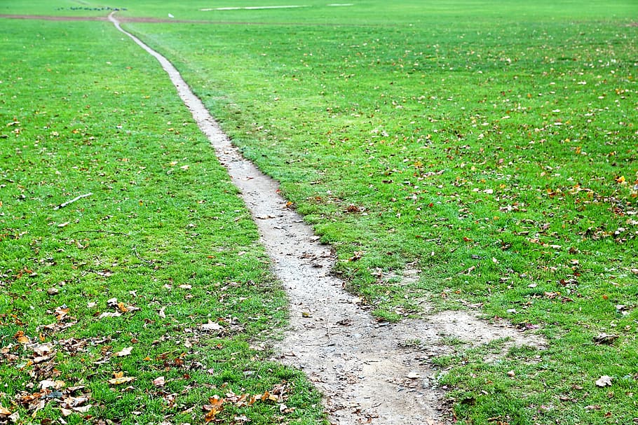 el, pálya, rét, fű, növény, zöld szín, Sport, nap, természet, föld, mező, nem ember, növekedés, szabadban, gyalogút, játéktér, magas szög kilátás, irány, egyvonalas, az utat, teljes keret, környezet, csapat játék, 5K