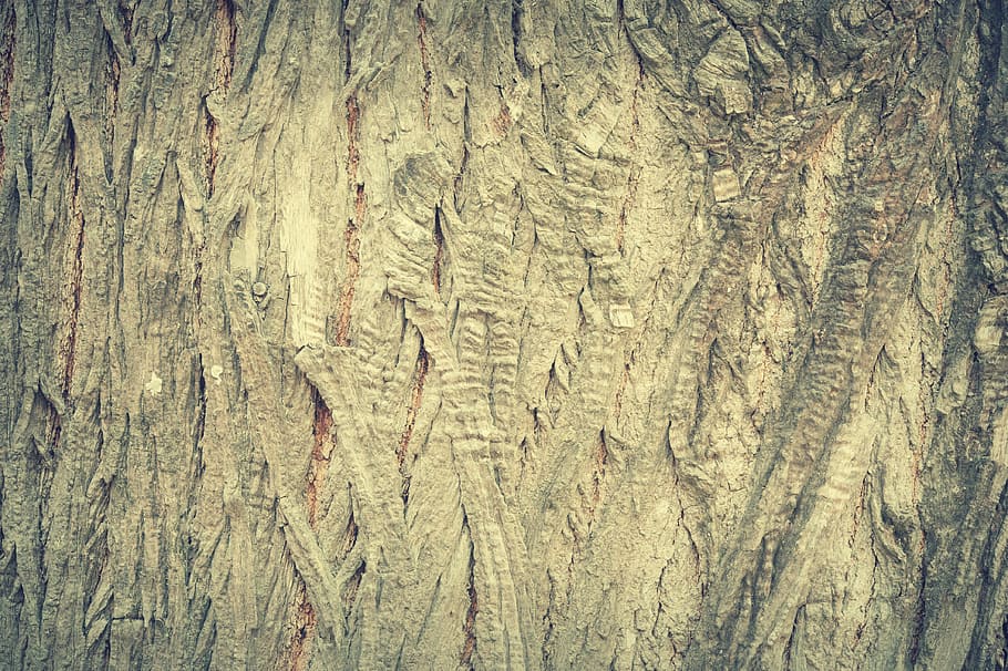abstrakt, Antiquität, Hintergrund, Borke, Tafel, braun, Zimmerei, Nahansicht, Dekor, Dekoration, dekorativ, Design, Fußboden, Wald, Korn, grunge, Hartholz, Zuhause, Innere, Linie, Holz, Material, natürlich, Natur, niemand, Eiche, alt, Orange, Vollbild, Hintergründe, Muster, texturiert, keine Leute, Tag, draußen, Holz - Material, Rau, Baum, Baumstamm, Kofferraum, Pflanze, direkt darüber, Brett, Pflanzenrinde, Holzmaserung, 4K