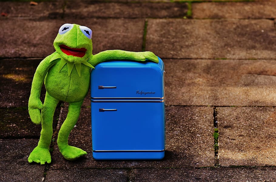 kermit, granota, nevera, divertit, retro, verd, joguines, joguina suau, animal de peluix, color verd, cap gent, representació animal, funció de construcció de parets, contenidor, blau, representació, animal, joguina, temes d'animals, paret, dia, a l'aire lliure, creativitat, paret de maó, lloro, diversió, naturalesa, sendera, humor, 5K