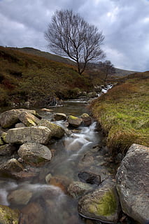 aguas, fluido, tranquilamente, río, nublado, ambiente, fluir, melancólico, hierba, cerros, idílico, paisaje, montaña, naturaleza, al aire libre, rocas, escénico, piedras, corriente, viaje, arboles, agua, imágenes de dominio público, cielo, planta, árbol, paisajes - naturaleza, belleza en la naturaleza, rock, nube - cielo, agua que fluye, sólido, roca - objeto, tranquilidad, escena tranquila, tierra, escena no urbana, nadie, día, corriente - agua que fluye, 5K, CC0, dominio público, libre de derechos