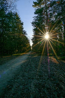 i raggi del sole, luce, soleggiato, natura, sole, raggi, cielo, sunburst, energia, solare, raggio di sole, luce del sole, splendere, albero, foresta, all'aperto, strada, pianta, la tranquillità, scena tranquilla, crescita, nessuno, terra, bellezza nella natura, scenics - natura, giorno, campo, scena non urbana, paesaggio, riflesso lente, 1080P, CC0, dominio pubblico, privo di copyright
