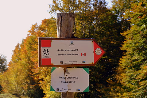 les indications, excursion, Piste, Montagne, la voie européenne, e5, Lessinia, Italie, arbre, texte, la communication, l'automne, signe, plante, écriture occidentale, se concentrer sur le premier plan, journée, personne, la nature, information, fermer, changement, scénario, écriture non occidentale, en plein air, panneau d'information, panneau de signalisation, croissance, message, 5K, CC0, domaine public, libre de droits