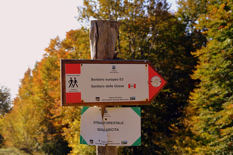 indicacions, excursió, ruta, muntanya, el camí europeu, e5, lessinia, Itàlia, arbre, text, comunicació, tardor, signe, planta, guió occidental, centrar-se en primer pla, dia, cap gent, naturalesa, informació, primer pla, canvi, guió, script no occidental, a l'aire lliure, signe d'informació, senyal de trànsit, creixement, missatge, 5K