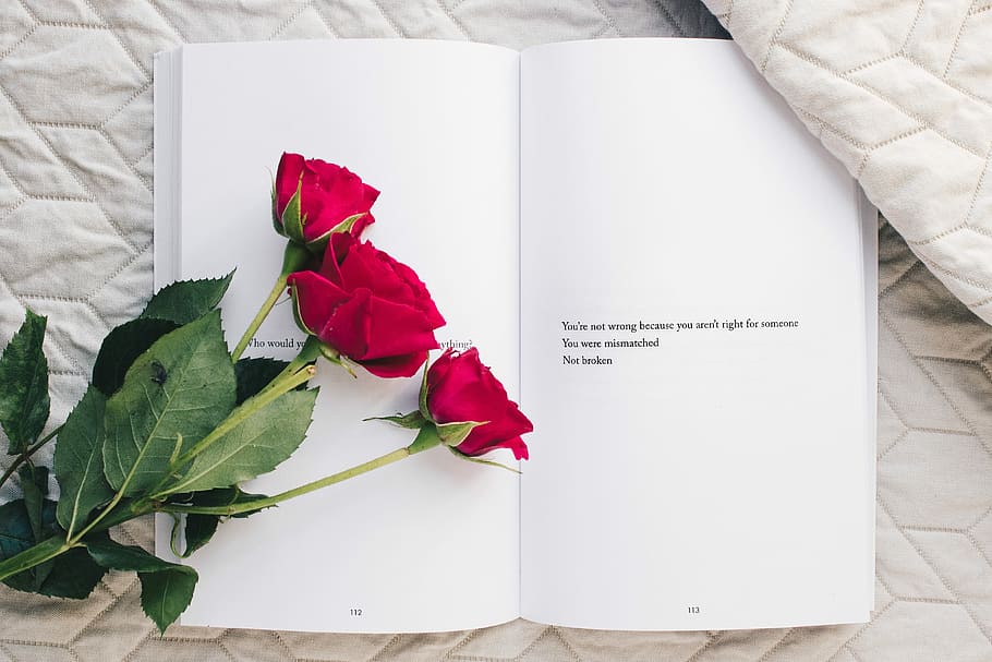 tres, vermell, rosa, flors, blanc, obert, llibre, coincidir, autoajuda, ajuda, lectura, inspiració, relació, amor, trencat, flatlay, taula, beix, cobrellit, flor, planta, planta amb flors, flor de roses, bellesa a la natura, cap gent, naturalesa, a l'interior, paper, part de la planta, full, emoció positiva, frescor, celebració, vista d’angle alt, mobles, cap de flor, emoció, primer pla, dia de Sant Valentí: vacances, missatge, bouquet, 4K