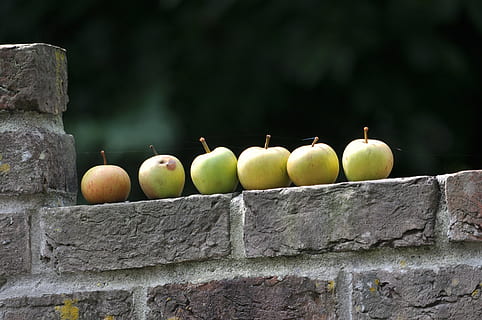 fruit, muur, zomer, eten, voedsel, rijp, versheid, appel - fruit, biologisch, eten en drinken, gezond eten, geen mensen, dag, focus op de voorgrond, welzijn, natuur, buitenshuis, muur - bouwfunctie, groene kleur, detailopname, Peer, grote groep objecten, fabriek, appel, 4K, CC0, publiek domein, royaltyvrij