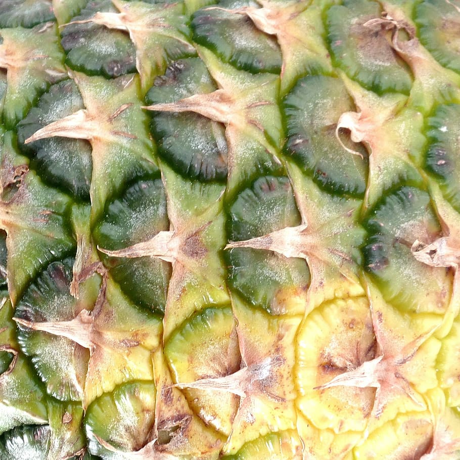 Ananas, meyve, genç ananas, bitki, egzotik, tropikal meyveler, tropikal, kabuk, Gıda, beslenme, lezzetli, sağlıklı, vitaminler, meyveli, tropikal meyve, vitaminhaltig, yemek, frisch, olgun, tatlı, Sarı, iştah açıcı, yapı, faydalanmak, Satın alma, sağlıklı beslenme, yiyecek ve içecek, refah, bütün çerçeve, tazelik, arka, dilim, yeşil renk, insansız, kapatmak, içeriye, natürmort, Desen, enine kesit, yüksek açılı görünüş, kivi, 1080P