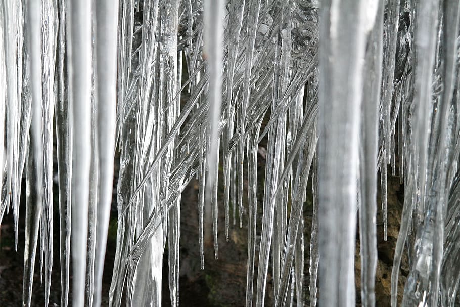 gel, cargol, fred, neu, congelat, estalactites, hivern, gelades, Askew, obliqua, cap gent, marc complet, dia, fons, naturalesa, planta, terra, patró, primer pla, a l'aire lliure, tranquil·litat, creixement, bellesa a la natura, tronc de l'arbre, abundància, arbre, tronc, bosc, textura, bambú - planta, color plata, 5K