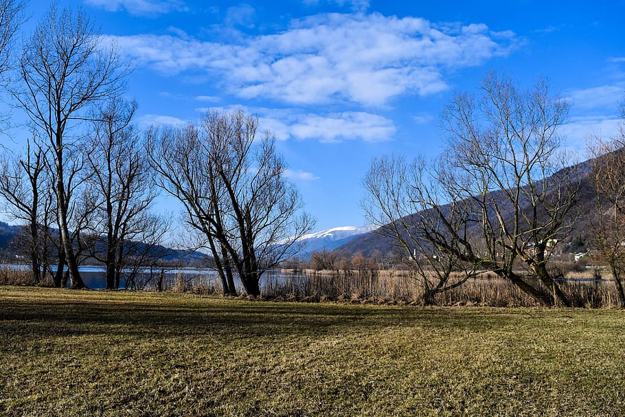 doğa, peyzaj, panoramik, ağaç, gökyüzü, ağaçlar, lago revizyonu, göl, kış, prato, yeşil, dalları, bulutlar, Ağaç dalları, dağ, bitki, alan, arazi, bulut - gökyüzü, sakin sahne, çıplak ağaca, çevre, huzur, manzaralar - doğa, doğada güzellik, insansız, çimen, gün, kentsel olmayan sahne, büyüme, açık havada, 4K