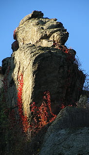 skała, Klif, krajobraz, Struktura, Bechyňe, Republika Czeska, południowa bohemia, niebo, rock - obiekt, solidny, formacja skalna, Natura, czyste Niebo, żadnych ludzi, niski kąt widzenia, dzień, spokój, piękno natury, spokojna scena, geologia, Geografia fizyczna, Góra, roślina, światło słoneczne, scenics - natura, scena pozamiejska, na dworze, erozja, tworzenie, 2K, CC0, domena publiczna, darmowe zdjęcia