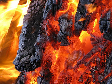 ardente, carbone, fotografia ravvicinata, fuoco, fiamma, caldo, bruciare, fuoco di bivacco, calore - temperatura, colore arancione, potere in natura, Pericolo, nessuno, natura, all'aperto, incendio forestale, fuoco - fenomeno naturale, raggiante, bellezza nella natura, avvicinamento, bruciato, terra, movimento, sfondi, giorno, ambiente, geologia, falò, 2K, CC0, dominio pubblico, privo di copyright