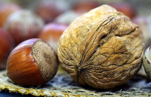 almond and wallnuts, walnut, hazelnut, shell, nutshell, healthy, eat, food, about, brown, nut, autumn, fruit, wood, food and drink, healthy eating, wellbeing, freshness, close-up, no people, nut - food, group of objects, still life, vegetable, selective focus, focus on foreground, indoors, organic, day, ripe, 5K, CC0, public domain, royalty free