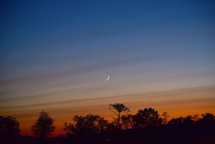 måne, himmel, halvmåne, solnedgang, farverig, nat, lys, natur, mørk, måneskin, lyse, landskab, silhuet, skumring, blå, fredelig, udendørs, aften, horisont, tusmørke, orange, sommer, naturskøn, dramatisk, træer, træ, scenics - natur, plante, skønhed i naturen, rolig scene, ro, orange farve, ingen mennesker, sky - himmel, lav vinkel visning, plads, idyllisk, astronomi, 4K