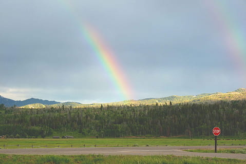 doppelter Regenbogen, Berge, Regenbogen, zwei, bunt, Himmel, Horizont, Licht, Beugung, Feld, szenen, Ruhe, Natur, Tag, Szenen - Natur, Schönheit in der Natur, mehrfarbig, Baum, ruhige Szene, Land, Zeichen, wolke - himmel, Pflanze, keine Leute, Straße, Landschaft, Nicht-städtische Szene, Umgebung, Straßenschild, 1080P, CC0, gemeinfrei, lizenzfrei