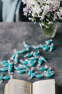 blue, candy, Book, flower, flowers, essentials, opened book, books, blue candy, bouquet, nature, close-up, no people, focus on foreground, day, indoors, aluminum, plant, flowering plant, selective focus, paper, beauty in nature, high angle view, freshness, fragility, vulnerability, table, outdoors, still life, container, 4K, CC0, public domain, royalty free