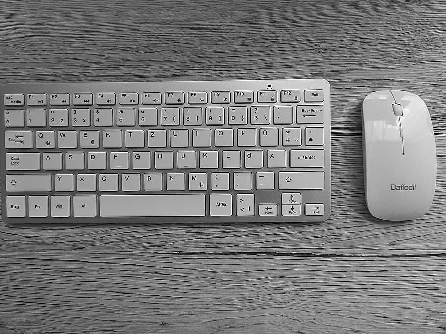 sølv, trådløs, tastatur, ved siden af, hvid, mus, Brun, træ-, panel, skrivebord, arbejdsplads, computer tastatur, sort og hvid, teknologi, computer, computerudstyr, trådløs teknologi, forbindelse, bord, meddelelse, bærbar, ingen mennesker, indendørs, stilleben, computer nøgle, computer del, tekst, nummer, høj vinkel visning, træ - materiale, direkte over, personlige tilbehør, 4K