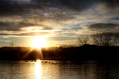 apus de soare, nori, auriu, lumină, cer, aur, de aur, ușoară, soare, lac, apă, pădure, copaci, liniștit, calm, natură, frumos, minunat, amurg, peisaj, lumina soarelui, nor - cer, scenics, reflecţie, o scenă liniștită, în aer liber, Cloudscape, imagine color, frumusețe în natură, vară, nici o persoana, culoare portocalie, scenice - natura, liniște, siluetă, copac, idilic, rază de soare, plantă, lentila flacara, 5K, CC0, domeniu public, fără drepturi de autor