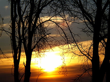 Sonne, Himmel, rot, Wolke, Baum, Zweige, Osten, Sonnenuntergang, Szenen - Natur, kahler Baum, Schönheit in der Natur, Pflanze, Silhouette, orange Farbe, Ast, ruhige Szene, Ruhe, idyllisch, keine Leute, Natur, Kofferraum, Baumstamm, draußen, Sonnenlicht, 4K, CC0, gemeinfrei, lizenzfrei