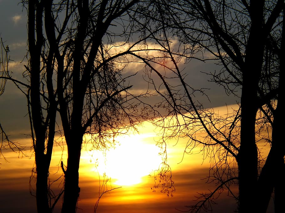 Sonne, Himmel, rot, Wolke, Baum, Zweige, Osten, Sonnenuntergang, Szenen - Natur, kahler Baum, Schönheit in der Natur, Pflanze, Silhouette, orange Farbe, Ast, ruhige Szene, Ruhe, idyllisch, keine Leute, Natur, Kofferraum, Baumstamm, draußen, Sonnenlicht, 4K