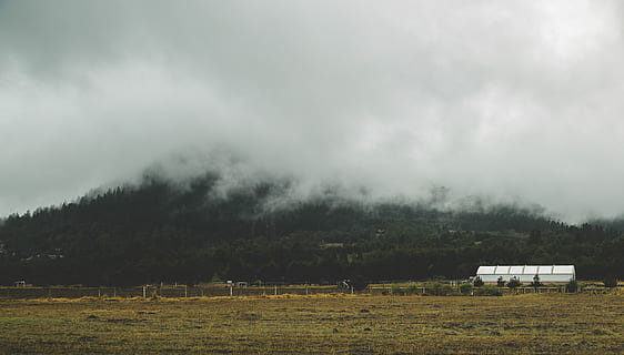 alb, rezervor, verde, Munte, fotografie peisaj, ceaţă, nor, iarbă, camp, noros, pădure, teren agricol, păşune, fermă, hambar, peisaj, natură, rece, în aer liber, plantă, frumusețe în natură, copac, cer, teren, mediu inconjurator, nor - cer, scenice - natura, o scenă liniștită, liniște, nici o persoana, zi, scenă non-urbană, idilic, 4K, CC0, domeniu public, fără drepturi de autor