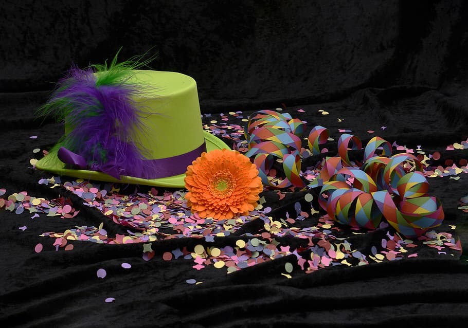 grøn, hat, ved siden af, orange, petaled blomst, fjer, konfetti, streamer, farverig, gerbera, violet, klovn, sjov, karneval, blomst, multi farvet, variation, ingen mennesker, skrøbelighed, tæt på, friskhed, sort baggrund, indendørs, dag, blomstrende plante, plante, sårbarhed, skønhed i naturen, kronblad, natur, blomsterstand, blomsterhoved, lyserød farve, vækst, vand, høj vinkel visning, blødhed, lilla, flyder på vandet, blomster arrangement, buket, 5K