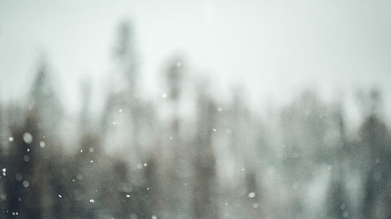 nepojmenovaná, sníh, stromy, sněžení, sněhové vločky, bokeh, Příroda, makro, les, krajina, prozkoumat, christma, zimní, Studený, strom, studená teplota, sněží, sněhová vločka, bouřka, vánice, extrémní počasí, nikdo, den, životní prostředí, mokré, venku, rozostření, pokles, zaměřit se na popředí, borovice, déšť, jehličnatého stromu, 5K, CC0, veřejná doména, bez autorských práv