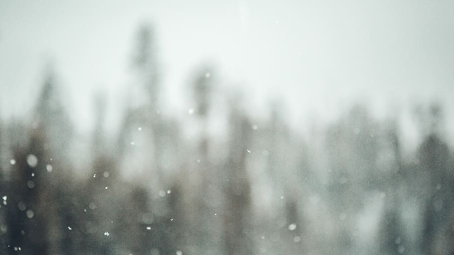 nepojmenovaná, sníh, stromy, sněžení, sněhové vločky, bokeh, Příroda, makro, les, krajina, prozkoumat, christma, zimní, Studený, strom, studená teplota, sněží, sněhová vločka, bouřka, vánice, extrémní počasí, nikdo, den, životní prostředí, mokré, venku, rozostření, pokles, zaměřit se na popředí, borovice, déšť, jehličnatého stromu, 5K