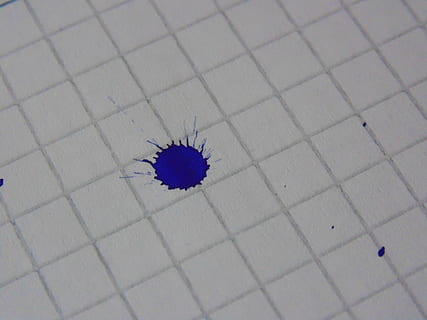 blob, blue, math notebook, selective focus, invertebrate, close-up, flooring, high angle view, no people, insect, nature, indoors, tile, one animal, backgrounds, day, tiled floor, full frame, 5K, CC0, public domain, royalty free