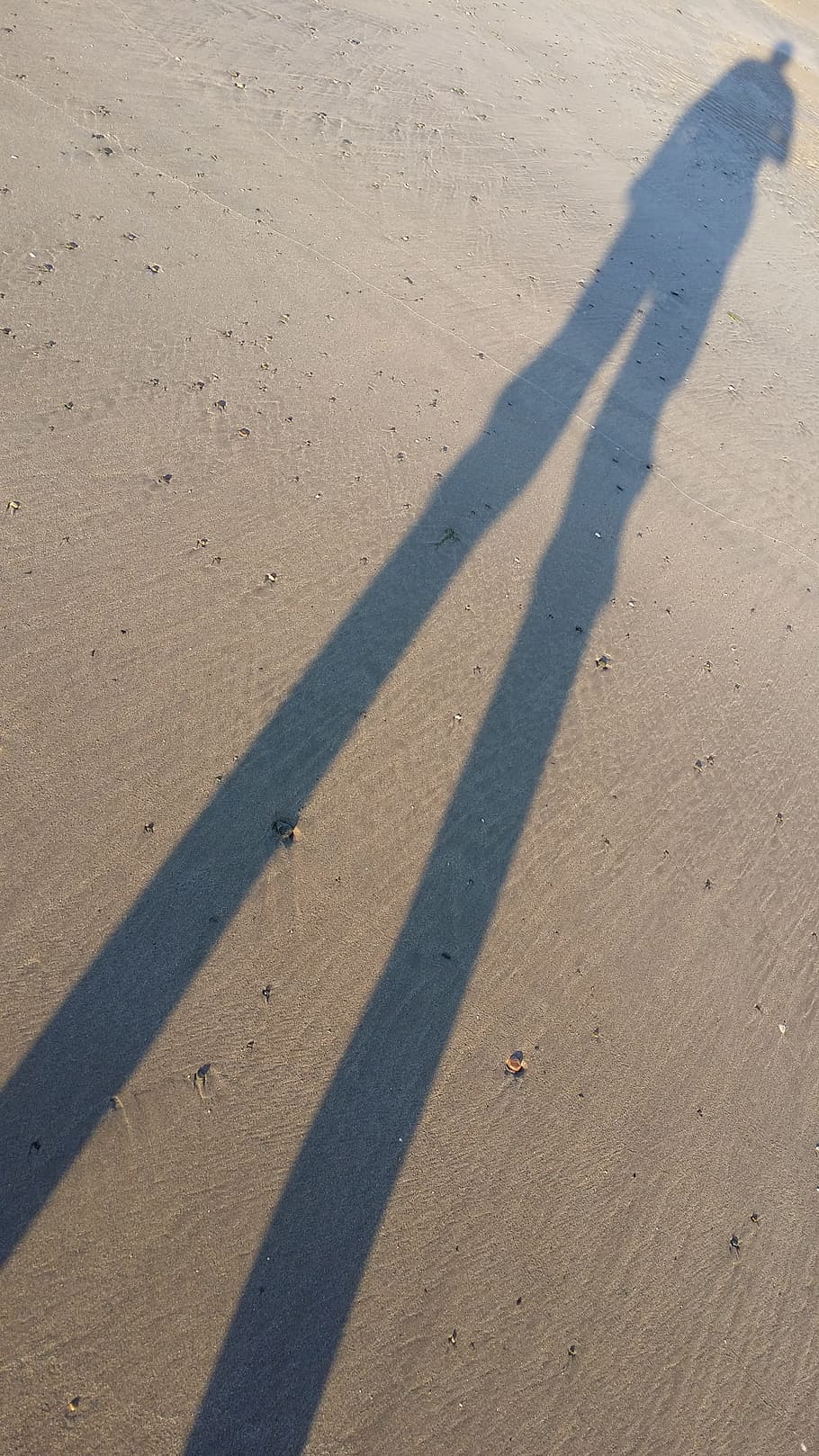 ombra, sabbia, spiaggia, tramonto, luce del sole, terra, natura, concentrarsi sull'ombra, persone reali, vista dall'alto, giorno, stili di vita, all'aperto, attività di svago, persona irriconoscibile, solidarieta, persone, lunga ombra - ombra, in piedi, donne, modello, 4K