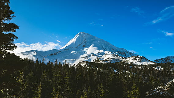 fjell, fylt, snø, grønn, trær, blå, himmel, under den blå himmelen, natur, scenics, landskap, fjellkjede, utendørs, Rocky Mountains, fjelltopp, Alberta, Banff nasjonalpark, Canada, ekstremt terreng, nasjonalpark, ingen folk, skog, skjønnhet i naturen, villmarksområde, tre, villmark, kaldtemperatur, vinter, naturskjønnhet - natur, anlegg, miljø, land, rolig scene, snødekte fjell, ro, furutre, furuskog, nåletre, 5K, CC0, offentlig domene, opphavsrett gratis