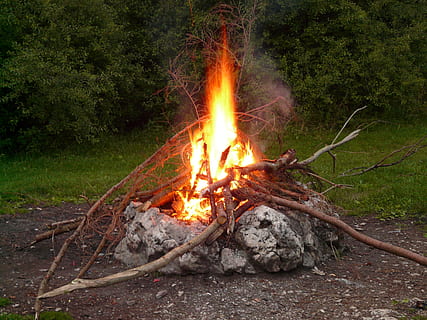 firepit, verde, alberi, fuoco, fuoco di bivacco, fiamma, bruciare, brace, luce del fuoco, barbecue, campeggio, campo, romanza, fuoco - fenomeno naturale, calore - temperatura, ardente, legna da ardere, legno - materiale, camino, rosso, natura, all'aperto, raggiante, falò, albero, nessuno, notte, legna, ceppo, terra, foresta, pianta, 2K, CC0, dominio pubblico, privo di copyright