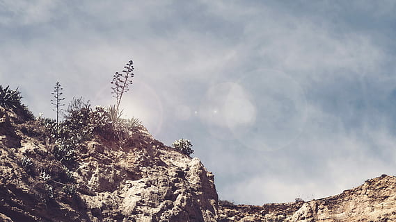 low, angle photography, mountain, daytime, low-angle photo, rocky, tree, landscape, rock, cloud, hill, flare, sun, whispy, foliage, nature, sky, dry, afternoon, beauty in nature, tranquility, plant, rock - object, tranquil scene, no people, scenics - nature, non-urban scene, cloud - sky, outdoors, solid, lens flare, day, sunlight, coniferous tree, 1080P, CC0, public domain, royalty free