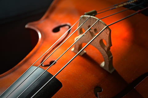 selektiv, fokus fotografie, Violinsaiten, Cello, Streicher, Saiteninstrument, Holz, Instrument, klassische Musik, Musikinstrument, braun, klassisch, Soundbody, akustisch, klingen, Musik-, Kunst, Kultur und Unterhaltung, Musikausrüstung, Musikinstrumentensaite, Zeichenfolge, Geige, Holz - Material, drinnen, Nahansicht, keine Leute, Performance, Antiquität, Bogenmusikausrüstung, Studioaufnahme, schwarze Farbe, Veranstaltung für darstellende Künste, 2K, CC0, gemeinfrei, lizenzfrei
