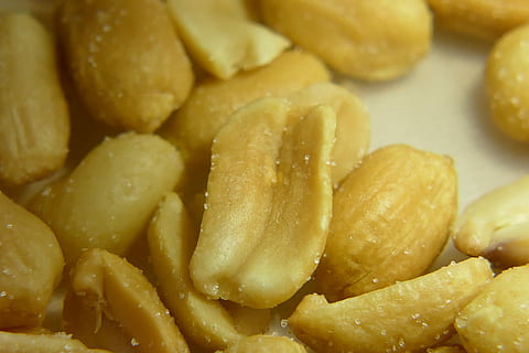 kacang kacangan, kacang, gila, camilan, sehat, core, dekat, lezat, makanan dan minuman, makanan, kesegaran, merapatkan, makan sehat, dalam ruangan, bingkai penuh, latar belakang, tidak ada orang, masih hidup, siap untuk dimakan, kuning, kentang, makan yang tidak sehat, fokus pada latar depan, sekelompok besar objek, goreng, ukuran porsi, kentang olahan, makanan Cina, 5K, CC0, domain publik, bebas royalti