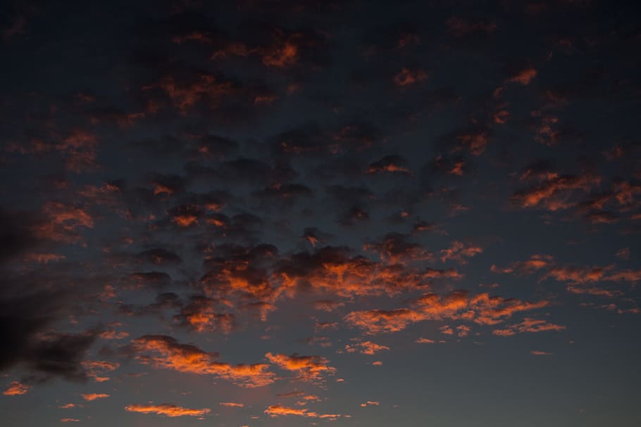 sortida del sol, núvols, cel blau, núvol, clar, blau, cel, assolellat, bonic, al matí, fons, posta de sol, tranquil·litat, escena tranquil·la, cap gent, bellesa a la natura, núvol - cel, escenics - natura, vista d’angle baix, naturalesa, cel dramàtic, color taronja, idíl·lic, a l'aire lliure, cloudscape, nit, cel malhumorat, meteorologia, 4K