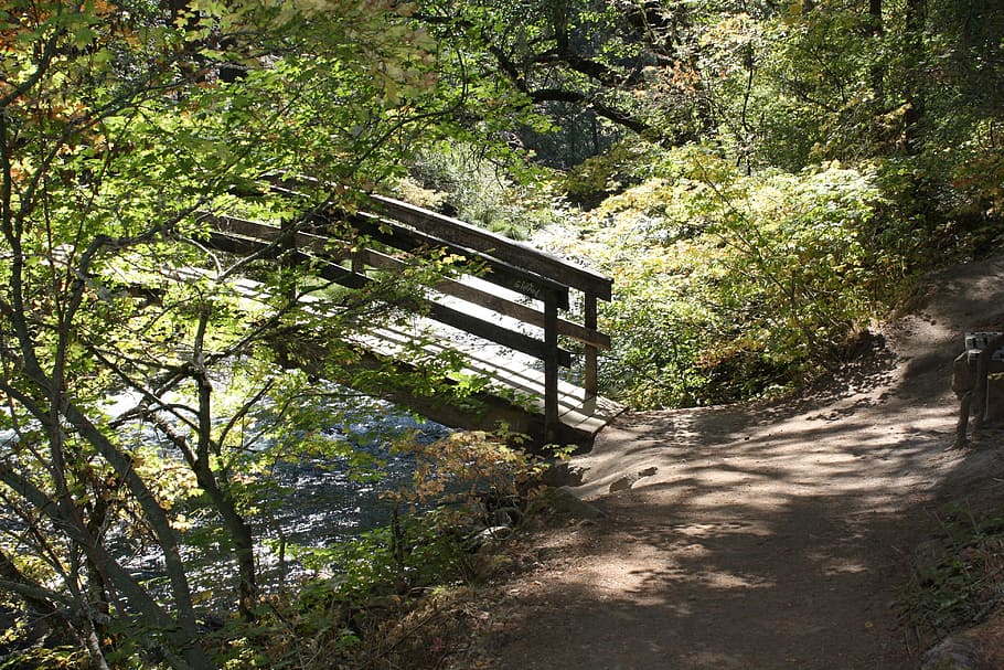 Brücke, Weg, Wald, Landschaft, draussen, städtisch, szenisch, Natur, Pfad, Szene, Kalifornien, Mcarthur-Burney State Park, Baum, Tag, gebaute Struktur, draußen, keine Leute, Pflanze, der Weg nach vorn, Richtung, Wachstum, die Architektur, Sonnenlicht, Land, Fußweg, Schatten, Ruhe, Geländer, Steg, Brücke - künstliche Struktur, 4K