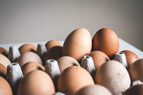 superficiale, fotografia a fuoco, Marrone, uova, vicino, foto, uova di gallina, avvicinamento, cibo, uovo animale, cibo e bevande, prima colazione, cibo crudo, biologico, mangiare sano, freschezza, nessuno, scatola di cartone, azienda agricola, uovo, di fila, messa a fuoco selettiva, Cartone di uova, benessere, in casa, natura morta, grande gruppo di oggetti, vulnerabilità, fragilità, gruppo di oggetti, abbondanza, 5K, CC0, dominio pubblico, privo di copyright