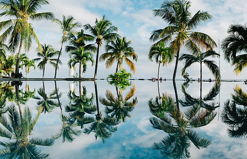 reflexió de l’aigua, palmeres de coco, palmeres, cos, aigua, blau, cel, durant el dia, arbres, reflexió, mar, oceà, Palmera, núvols, sol, núvol, arbre, paradís, mauritiu, planta, clima tropical, naturalesa, núvol - cel, davant del mar, cap gent, tranquil·litat, simetria, dia, aigua estancada, a l'aire lliure, bellesa a la natura, piscina, llac, compost digital, piscina reflectant, luxe, 8K, CC0, domini públic, lliure de regalies